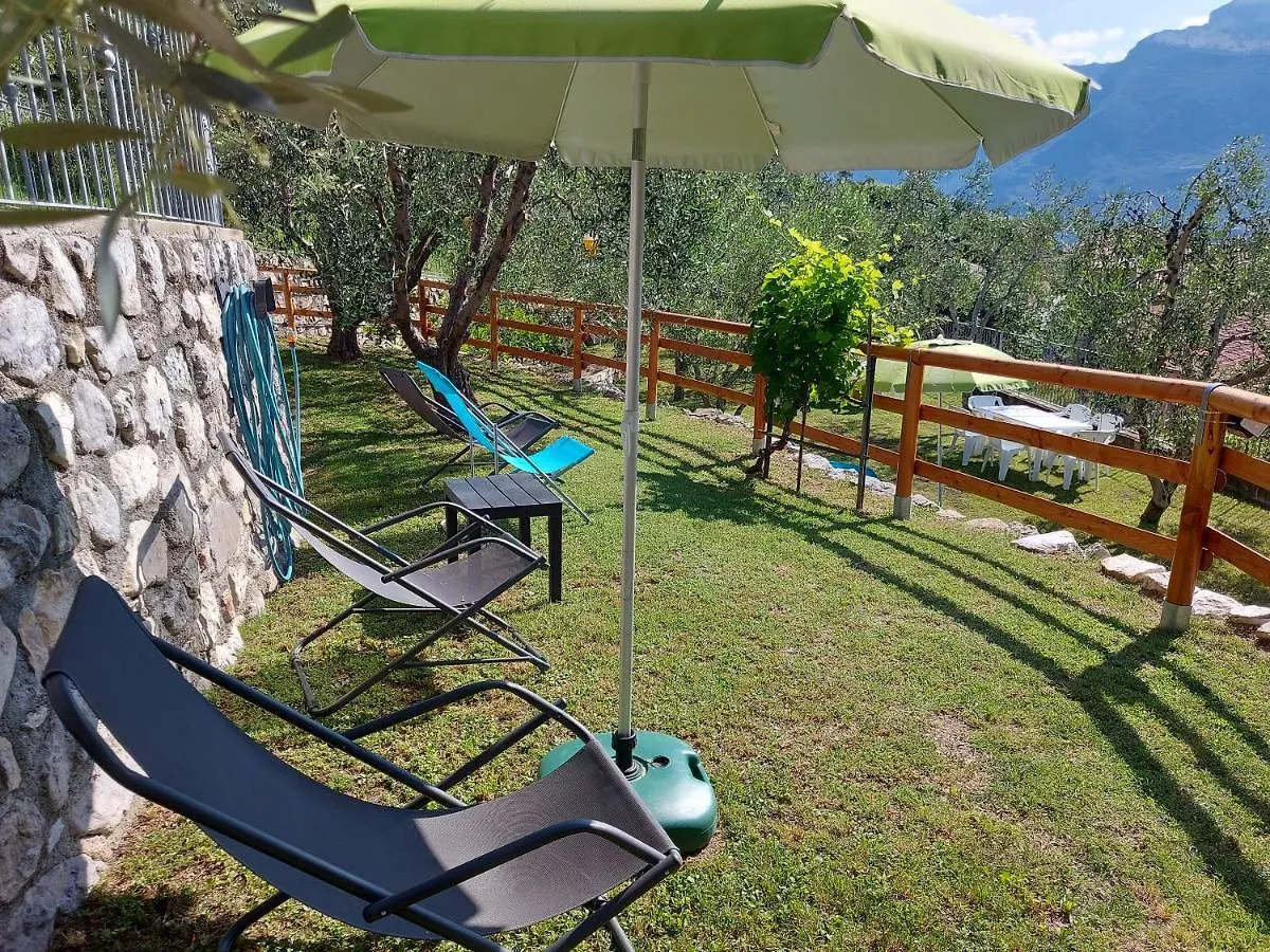Apartment Ferienwohnung Ulivi Sul Garda Garden By Gardadomusmea Tremosine Italien
