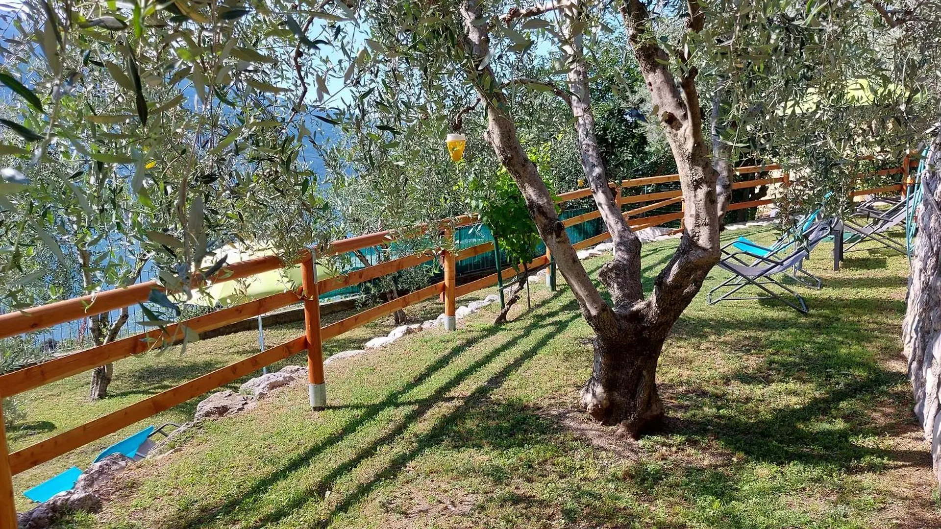 Apartment Ferienwohnung Ulivi Sul Garda Garden By Gardadomusmea Tremosine