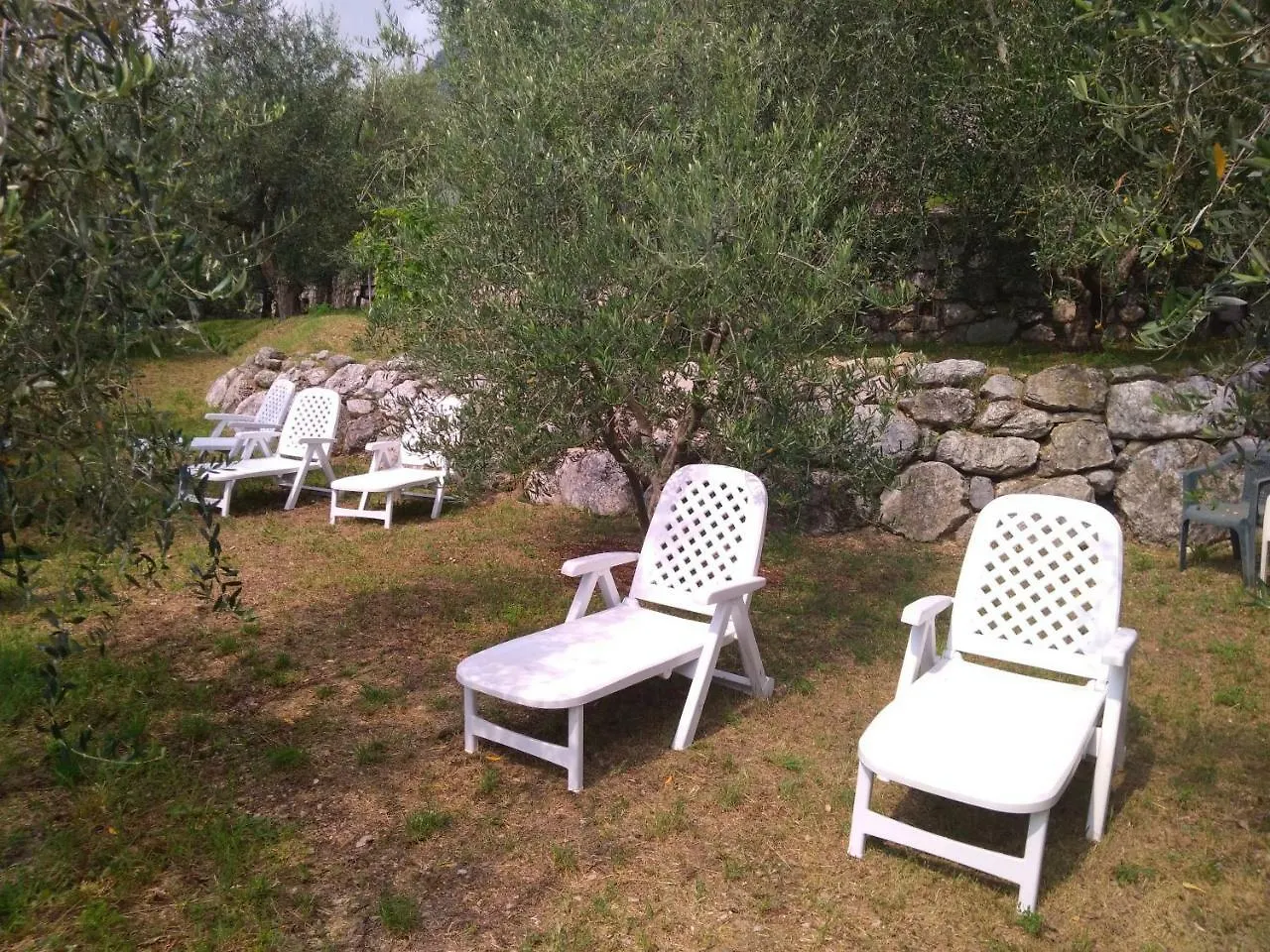 Ferienwohnung Ulivi Sul Garda Garden By Gardadomusmea Tremosine 0*,