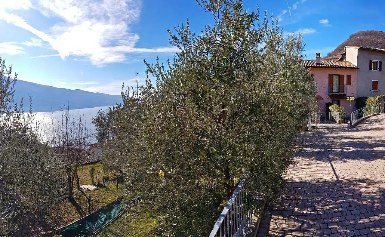 Ferienwohnung Ulivi Sul Garda Garden By Gardadomusmea Tremosine 0*,  Italien