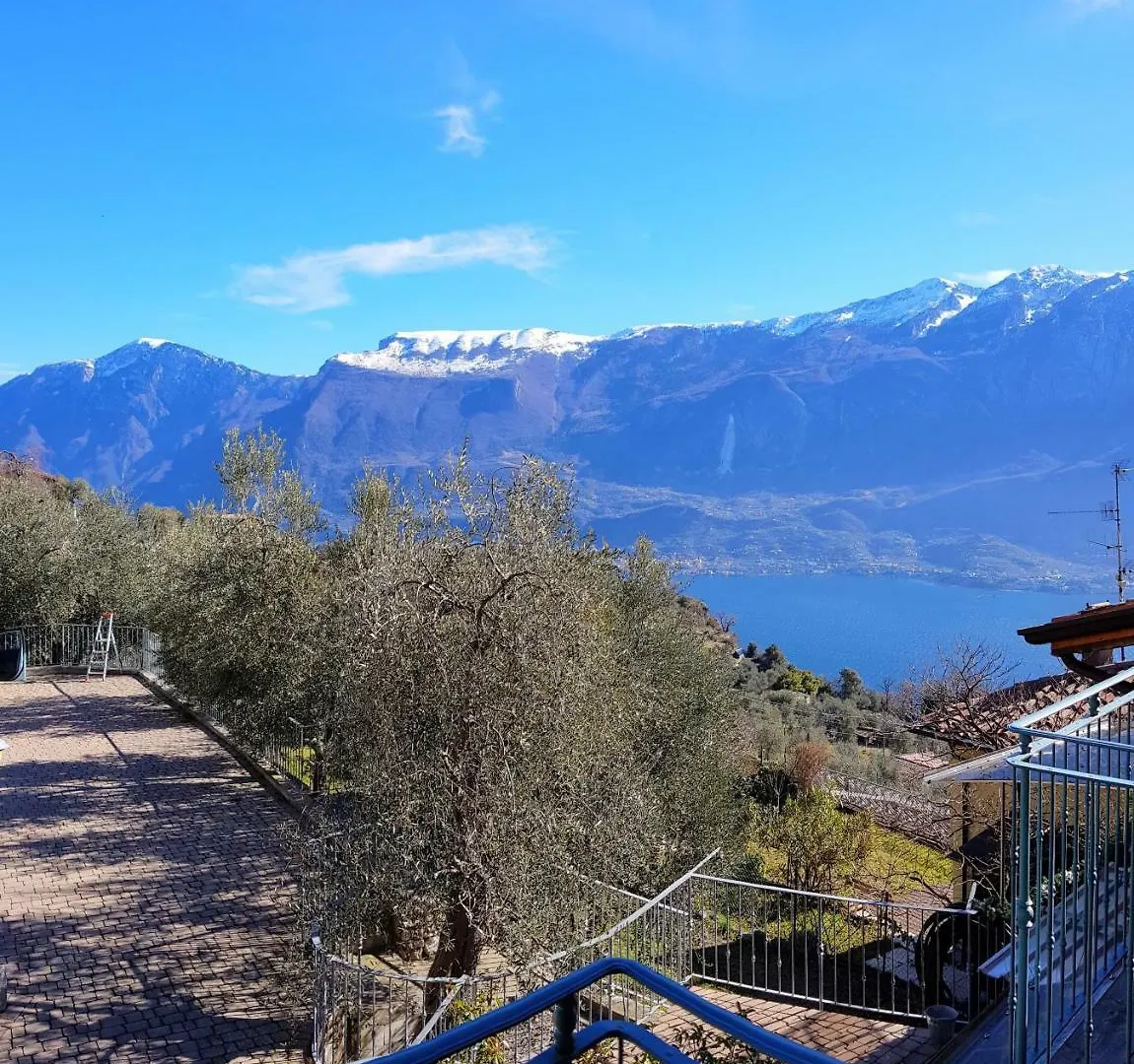 Ferienwohnung Ulivi Sul Garda Garden By Gardadomusmea Tremosine 0*,  Italien