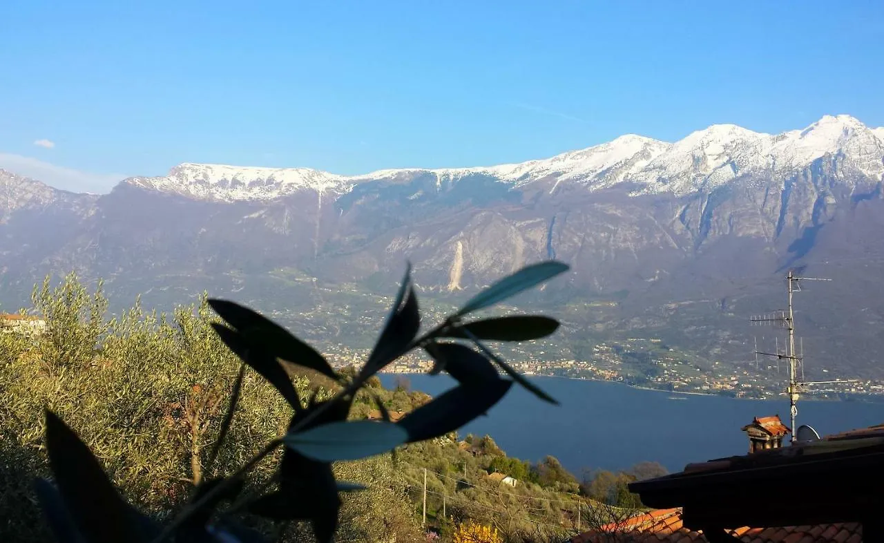 Apartamento Ulivi sul Garda Garden by Gardadomusmea Tremosine